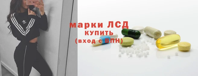 альфа пвп Снежногорск