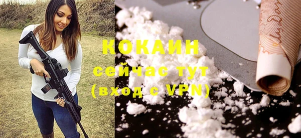 гидра Балахна