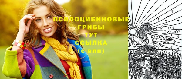 ПСИЛОЦИБИНОВЫЕ ГРИБЫ Семёнов