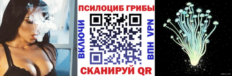 гидра   Большой Камень  Галлюциногенные грибы Psilocybe 